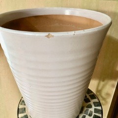 陶器の植木鉢🪴✨⑧
の画像