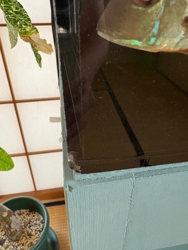 120cm アクリル水槽 セット