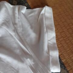 未使用レディースTシャツの画像