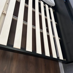 ベットの画像
