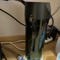 【熱帯魚セット】ブラックネオンテトラ3匹＋ガラス水槽＋器具一式の画像