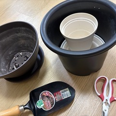 観葉植物育成セットの画像