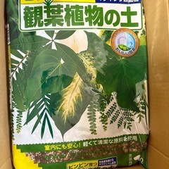 観葉植物育成セットの画像