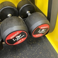 半額以下中古ラバーダンベル47.5kg2個 (LBGYM) 和白の