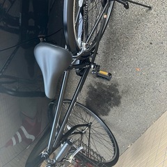 シティクロスバイクエスクリムの画像