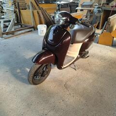 ホンダジョルノaf70商談中の画像