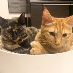 遊びがとっても大好きな兄妹❗️