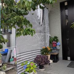 ⭐️値下げ！風通しの良い省エネサンシェードの画像