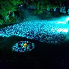「会える」お友達を探しています🤗ぜひご連絡ください✨ - つくば市