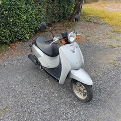 1084.動画あり　AF61 トゥデイ ホンダ　原付　バイク　50cc 車体　埼玉の画像