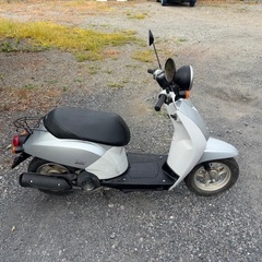 1084.動画あり　AF61 トゥデイ ホンダ　原付　バイク　50cc 車体　埼玉の画像