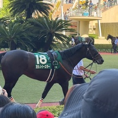 【福岡発】競馬好き仲間、募集中！現地観戦も、飲みながらの応…