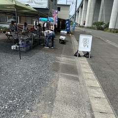 メダカ、ヌマエビ、
睡蓮始めましたの画像