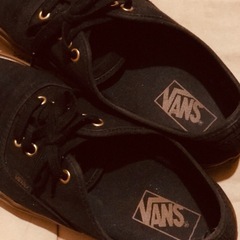 本日値下げしました。7/6〜　Vans Authentic ガムソールのユーズドスニーカー1組の画像