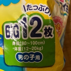 スイミングパンツ12枚の画像