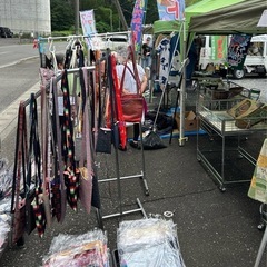 メダカ、ヌマエビ、睡蓮、他いろいろありますの画像