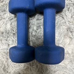 バーベル 3kg 2個セットの画像