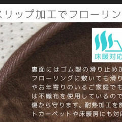 フワフワ、ぽかぽか💛3畳洗えるラグマット　ライン柄グレイの画像