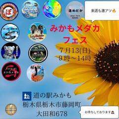 🌸はるいろめだか🌸道の駅みかも🌸極上メダカ🌸激安販売会🌈