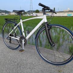 プレシジョンスポーツ 自転車の中古が安い！激安で譲ります