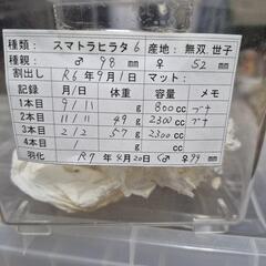 サムネイル