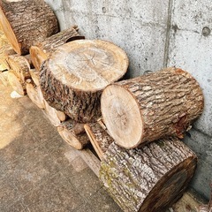 【広葉樹】薪 マキ 薪割り台の画像