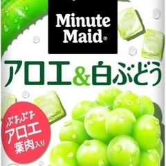 三本珈琲珈琲豆500g×12袋 2026年賞味期限 (荒井) 大和田の食品の