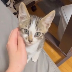 食欲旺盛！元気いっぱい　トキ君