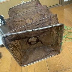 魚釣り 小物  生き餌
の画像