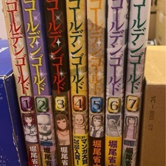 【美品・書店購入】ゴールデンゴールドの画像