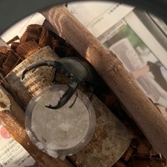 生き物好きの方お話ししませんか！！ − 東京都