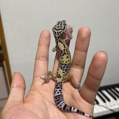生き物好きの方お話ししませんか！！
