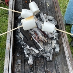 🍖BBQ🍖