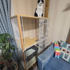 木製キャットケージ ハンモック付き　中古 猫 ケージ キャットケージ 2段 木製フレーム ハンモック付 広々