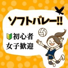 ソロ参加歓迎 🏐 ソフトバレー