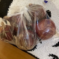白石産赤玉ねぎ5個