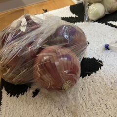 白石産赤玉ねぎ5個の画像