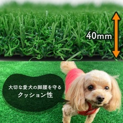 ペット用人工芝(防草シート不要)/ペットターフPro/2m×3mの画像