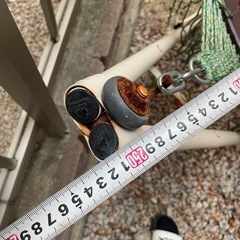 ハンモックの画像