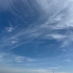波動の合う仲間とつながる場所