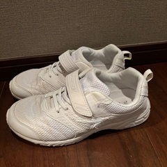 スニーカー（シュンソク白24.5㌢）の画像