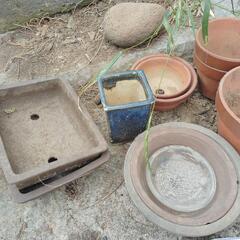 植木鉢色々セット無料！の画像