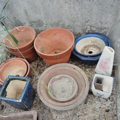 植木鉢色々セット無料！の画像