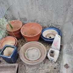 植木鉢色々セット無料！の画像