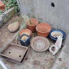 植木鉢色々セット無料！の画像
