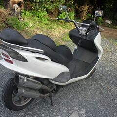 YAMAHA Majesty マジェスティ125 (コマジェ) ホワイト・レストア向けの画像