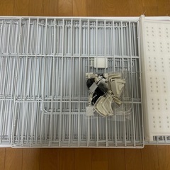 (急募）キャットケージ2段ワイドの画像