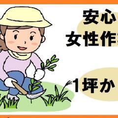 草刈り•草取りします。