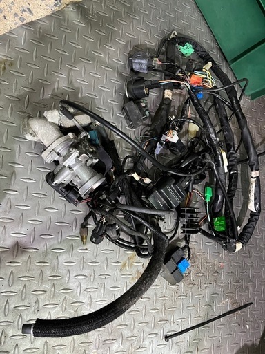 ⑥アドレスv125g 後期K9ハーネス1式