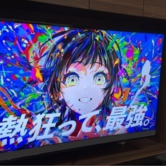 REGZA  テレビ　50M510X